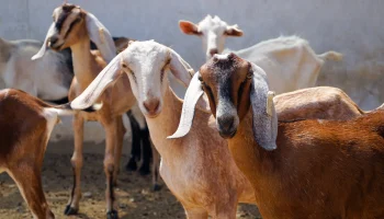 jorge-salvador-tqXeLOBzJsI-unsplash